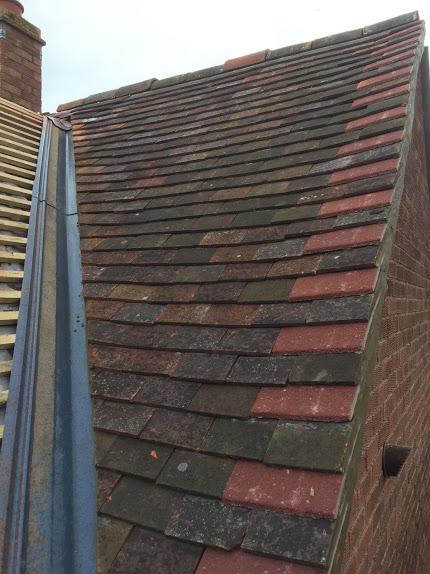 Renovation in Oaken Grove